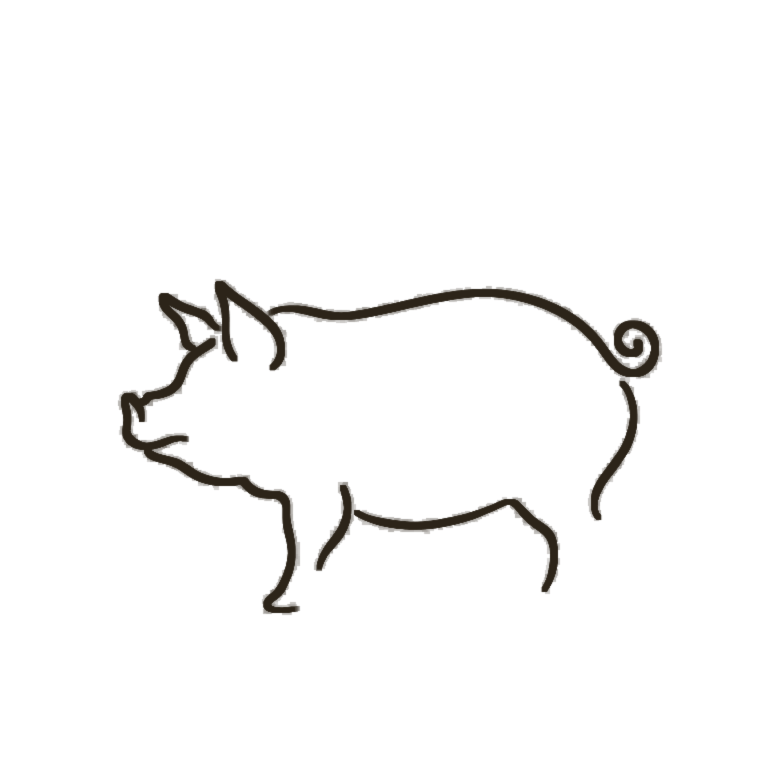 Pig Chinese zodiac line art